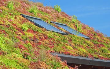 Leasingthorne living roof systems