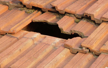 roof repair Leasingthorne, County Durham